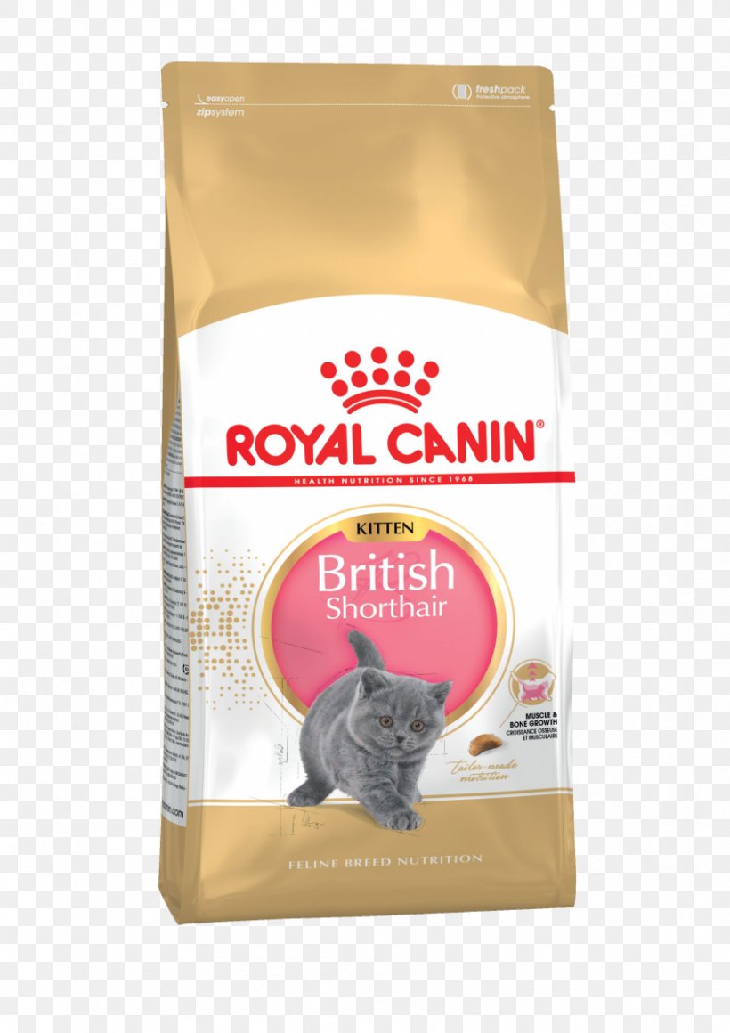 Persian Cat Cat Food British Shorthair Kitten Ragdoll, PNG, 848x1200px, Persian Cat, British Shorthair, Cat, Cat Food, Dog Download Free