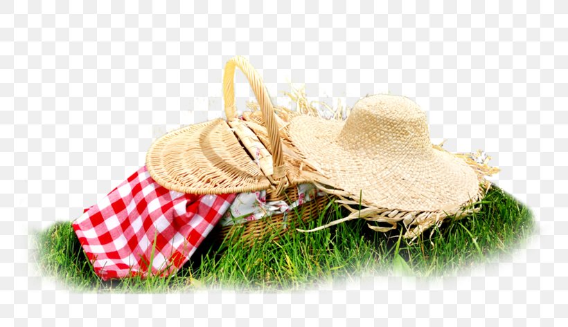 The C Programming Language Picnic Stock Photography Image Design, PNG, 800x473px, C Programming Language, Christmas Ornament, Grass, Meadow, Picnic Download Free