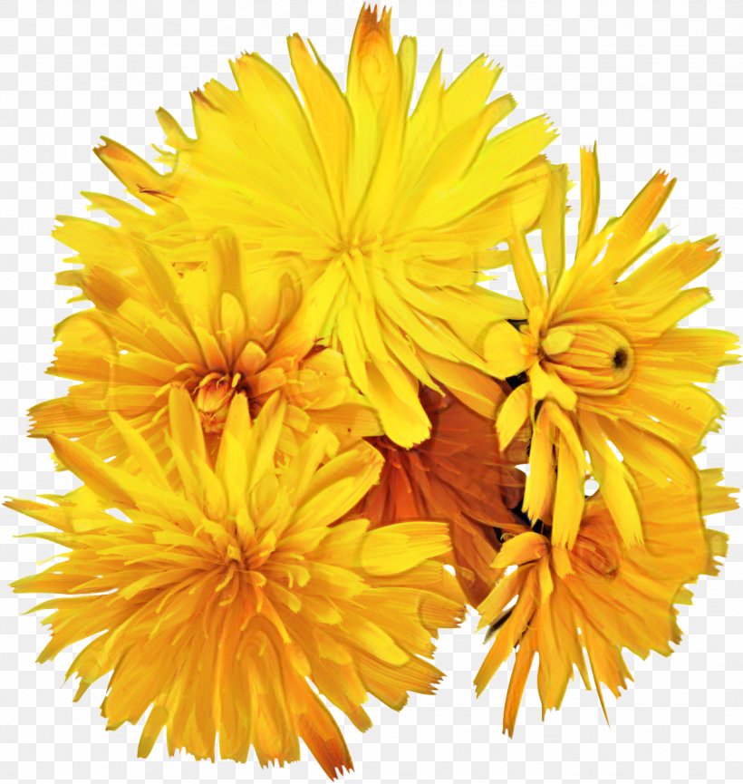 The Ray Conniff Singers Love Songs Somewhere My Love You Light Up My Life, PNG, 1949x2057px, Ray Conniff Singers, Album, Calendula, Chrysanths, Cut Flowers Download Free