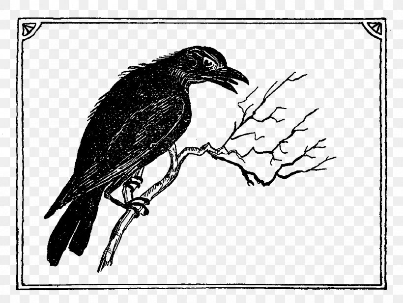 American Crow Common Raven Drawing Feather Beak, PNG, 1200x903px, American Crow, Artwork, Beak, Bird, Black And White Download Free