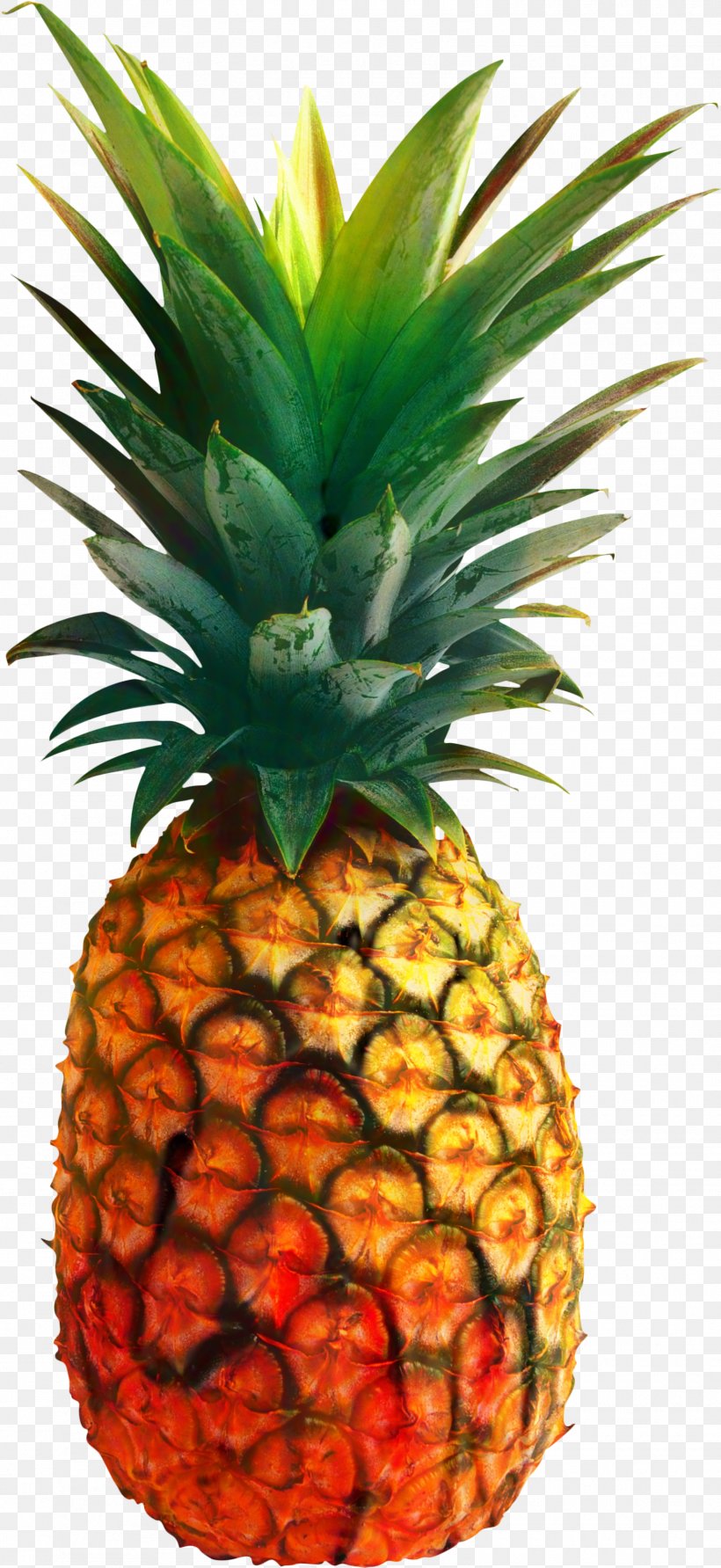 Fruit Cartoon, PNG, 1570x3414px, Pineapple, Ananas, Dhgatecom, Fashion, Food Download Free