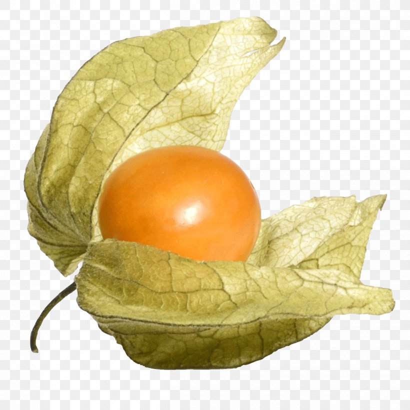 Egg, PNG, 1250x1250px, Fruit, Egg, Food, Leaf, Nightshade Family Download Free