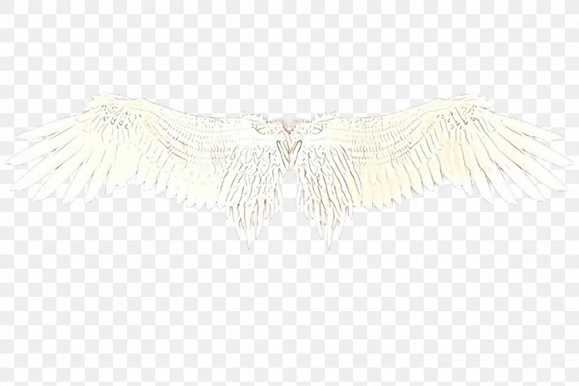 Feather, PNG, 960x640px, Cartoon, Angel, Feather, Neck, Necklace Download Free