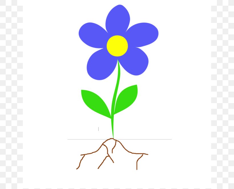 Root Plant Stem Flower Clip Art, PNG, 660x660px, Root, Area, Artwork, Branch, Diagram Download Free