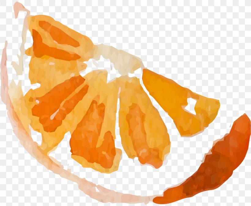 Mandarin Orange Watercolor Painting Fruit Image Illustration, PNG, 1222x1000px, Mandarin Orange, Citrus, Citrus Fruit, Food, Fruit Download Free
