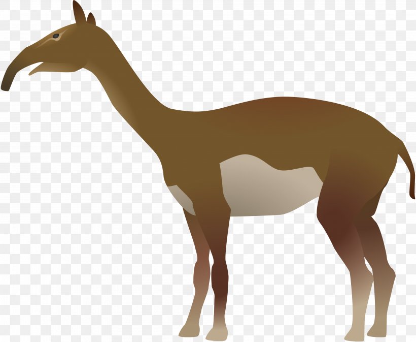 Giraffe Macrauchenia Animal Mammal DeviantArt, PNG, 3807x3126px, Giraffe, Animal, Animal Figure, Art, Deinotherium Download Free