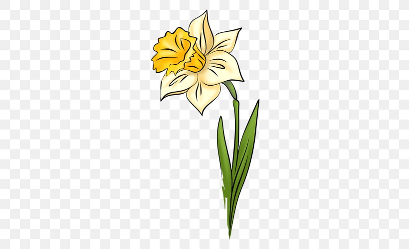 IPad Narcissus Daffodil Drawing Clip Art, PNG, 500x500px, Ipad, Amaryllis Family, Art, Cut Flowers, Daffodil Download Free