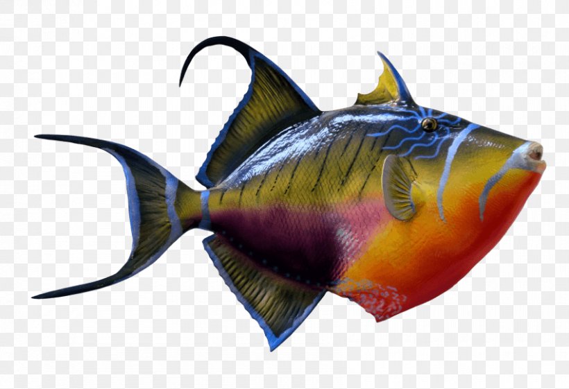 Goldfish & Tropical Fish Clip Art Image, PNG, 850x582px, Goldfish Tropical Fish, Aquarium, Coral Reef Fish, Fin, Fish Download Free