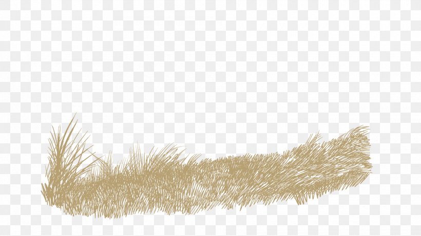 Feather Fur Brown, PNG, 1920x1080px, Feather, Brown, Fur, Grass Download Free