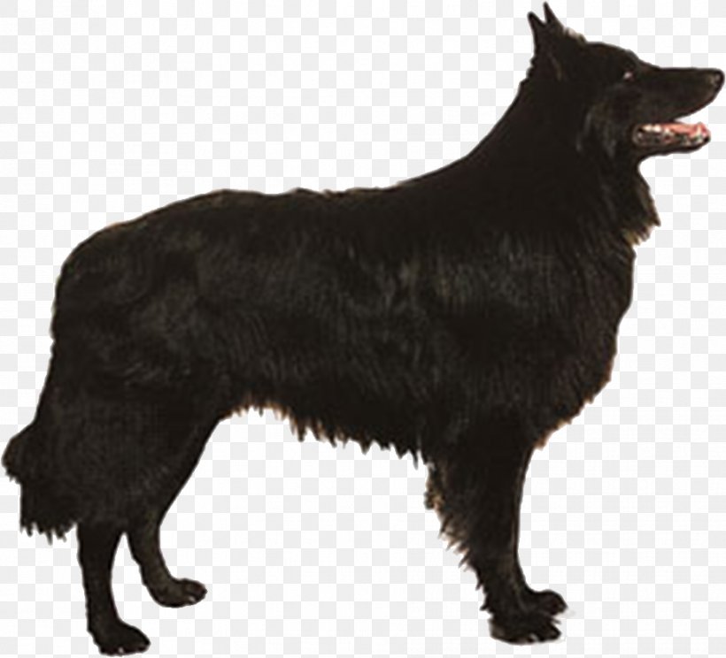 Tervuren Malinois Dog Schipperke Old English Sheepdog Belgian Shepherd, PNG, 932x846px, Tervuren, Animal, Belgian Shepherd, Black, Carnivoran Download Free