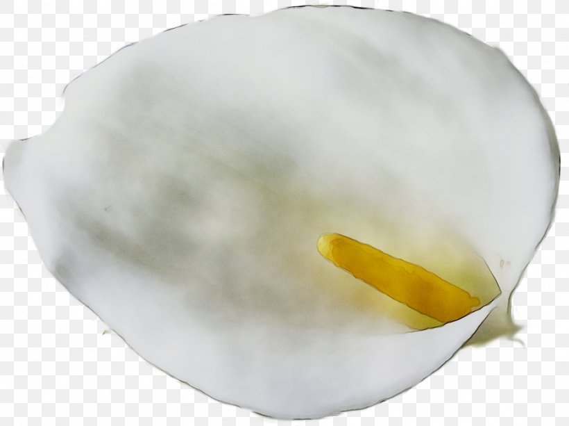 Yellow, PNG, 1152x862px, Yellow, Arum, Egg White Download Free