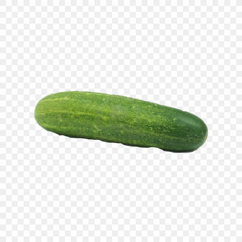 Cucumber Spreewald Gherkins Food Vegetable, PNG, 1600x1600px, Cucumber, Apple, Apple Cider Vinegar, Beer, Cucumber Gourd And Melon Family Download Free