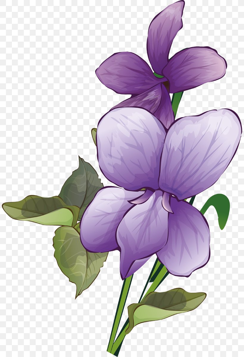 Plant Stem Herbaceous Plant, PNG, 808x1200px, Plant Stem, Flower, Flowering Plant, Herbaceous Plant, Iris Download Free