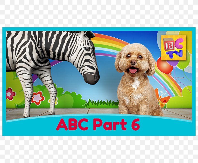 Puppy Alphabet Song Dog Letter, PNG, 800x675px, Puppy, Alphabet, Alphabet Song, Animal, Breed Download Free