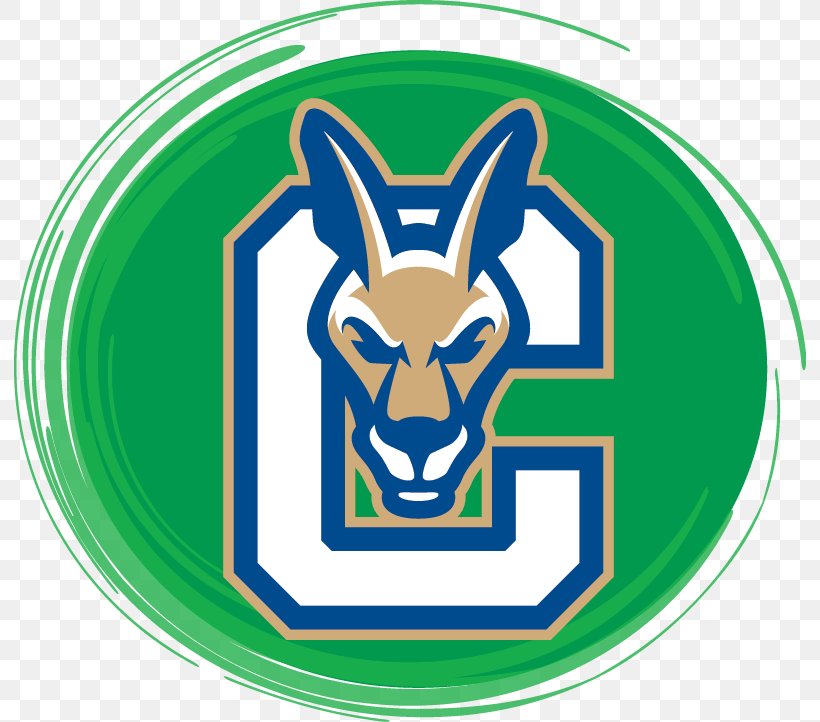 Suny Canton Athletic Center Endicott College State University Of New York System Sport, PNG, 792x722px, Endicott College, Area, Brand, Canton, College Download Free
