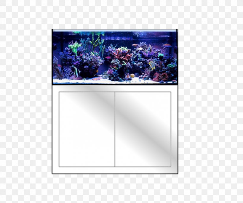 Aquarium Picture Frames, PNG, 854x715px, Aquarium, Picture Frame, Picture Frames, Purple, Violet Download Free