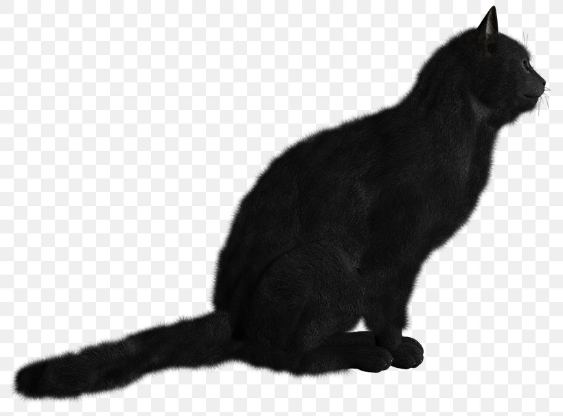 Black Cat Kitten Clip Art, PNG, 800x606px, Black Cat, Archive File, Asian, Black, Black And White Download Free