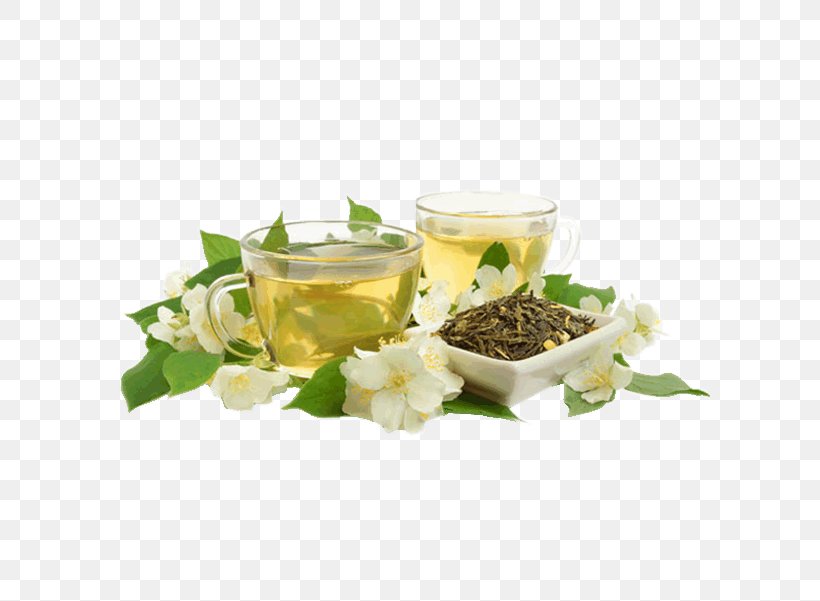 Green Tea White Tea Baihao Yinzhen Biluochun, PNG, 600x601px, Tea, Alternative Medicine, Baihao Yinzhen, Biluochun, Black Tea Download Free