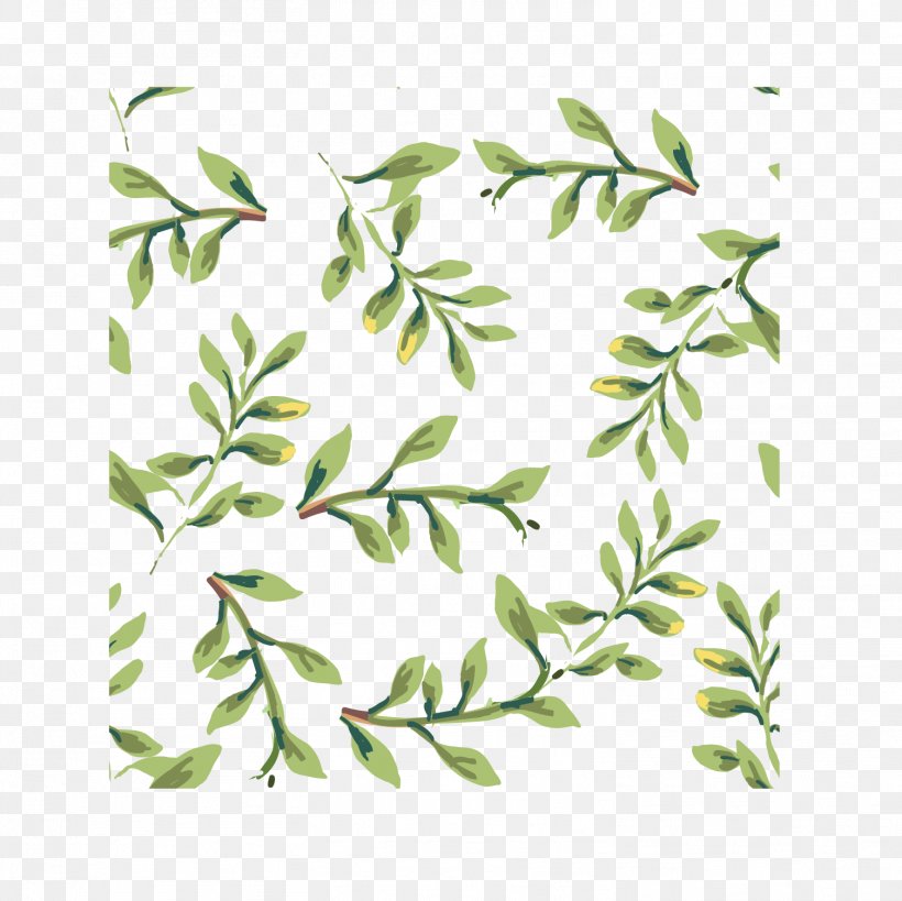 Plant Textile Green Pattern, PNG, 1506x1506px, Plant, Area, Botany, Branch, Flora Download Free