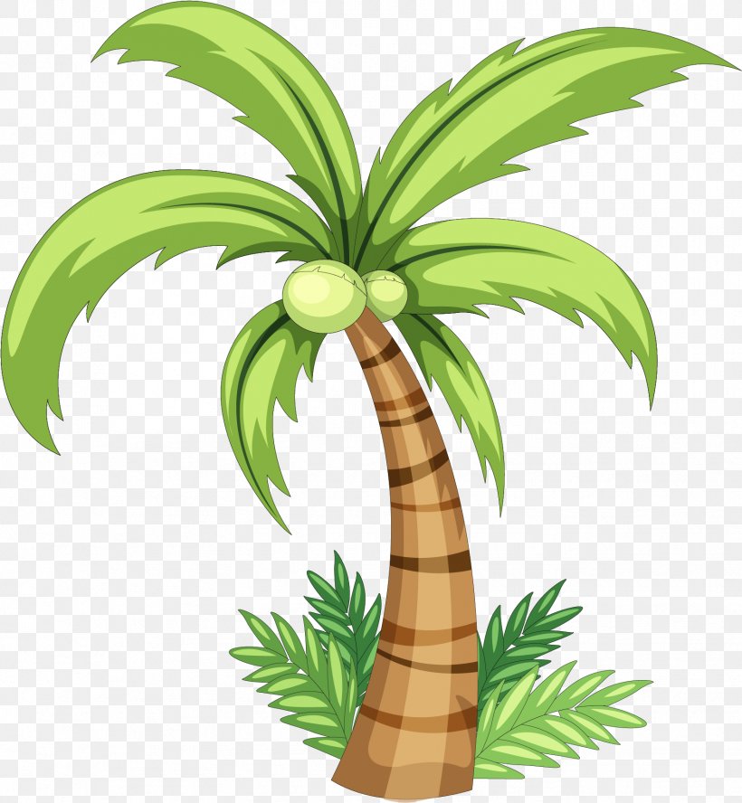 Coconut Tree Drawing, PNG, 1759x1907px, Drawing, Arecales, Attalea Speciosa, Coconut, Date Palm Download Free