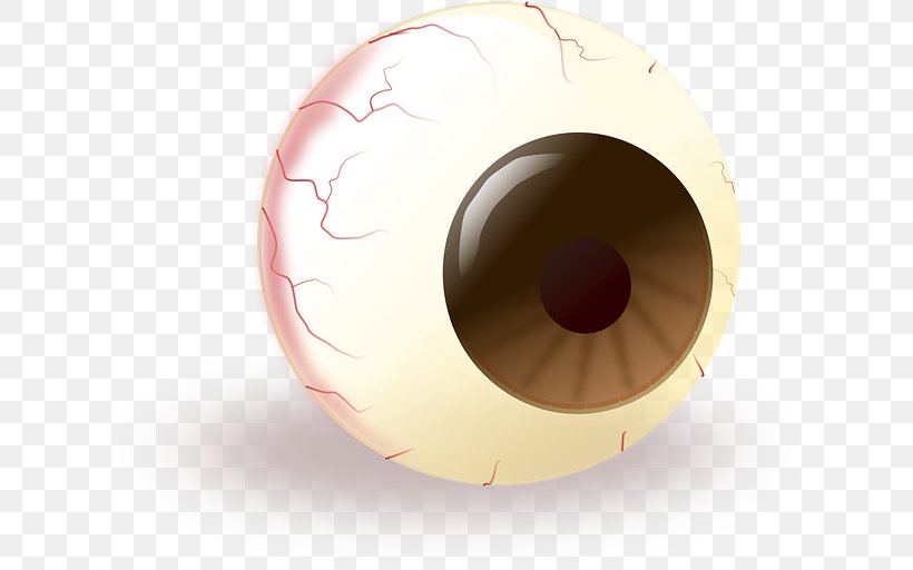 Human Eye Globe Visual Perception Pupil, PNG, 640x512px, Watercolor, Cartoon, Flower, Frame, Heart Download Free