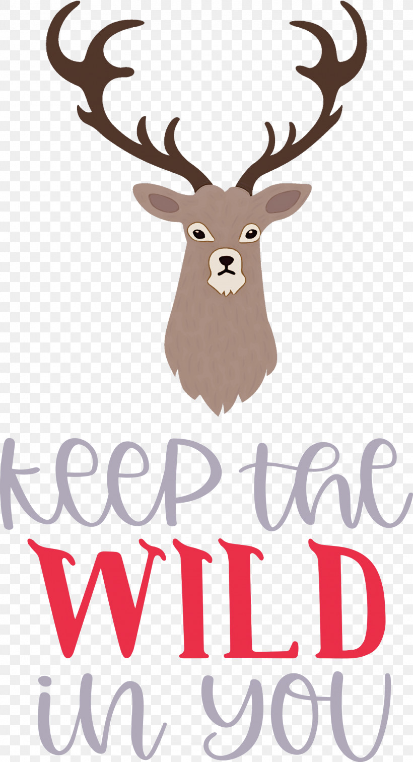 Keep Wild Deer, PNG, 1625x2999px, Keep Wild, Antler, Biology, Deer, Meter Download Free