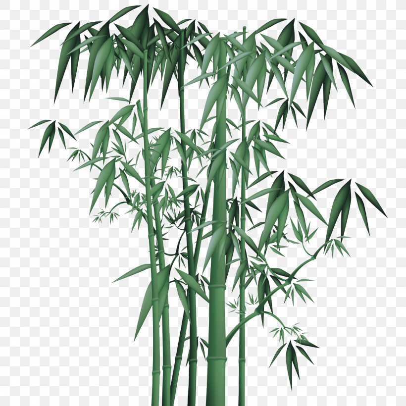 Plant Stem Bamboo Arecales Tree Flowerpot, PNG, 1417x1417px, Plant Stem, Arecales, Bamboo, Biology, Flowerpot Download Free