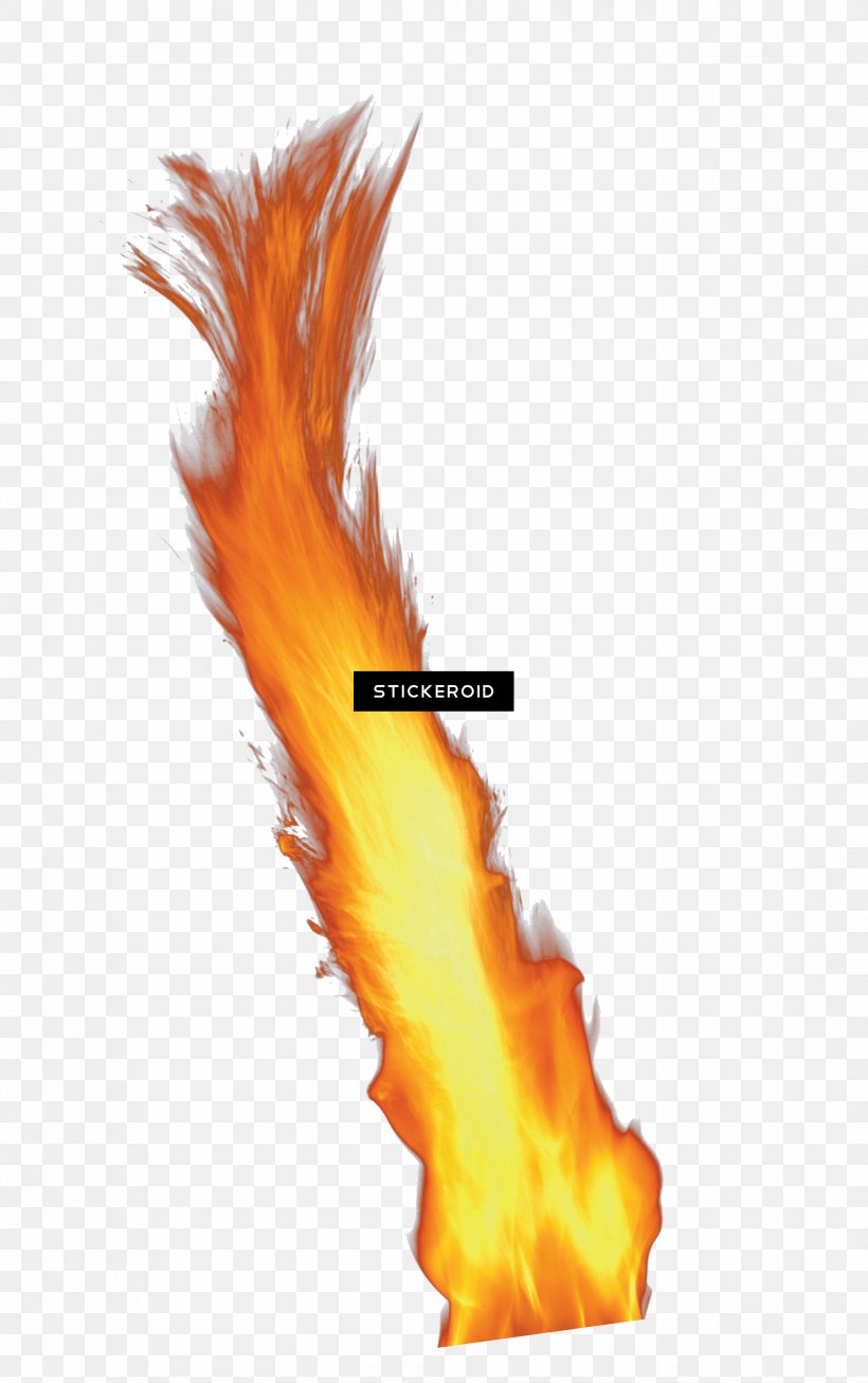Flame Clip Art Image Fire, PNG, 1949x3105px, Flame, Feather, Fire, Orange, Stock Photography Download Free