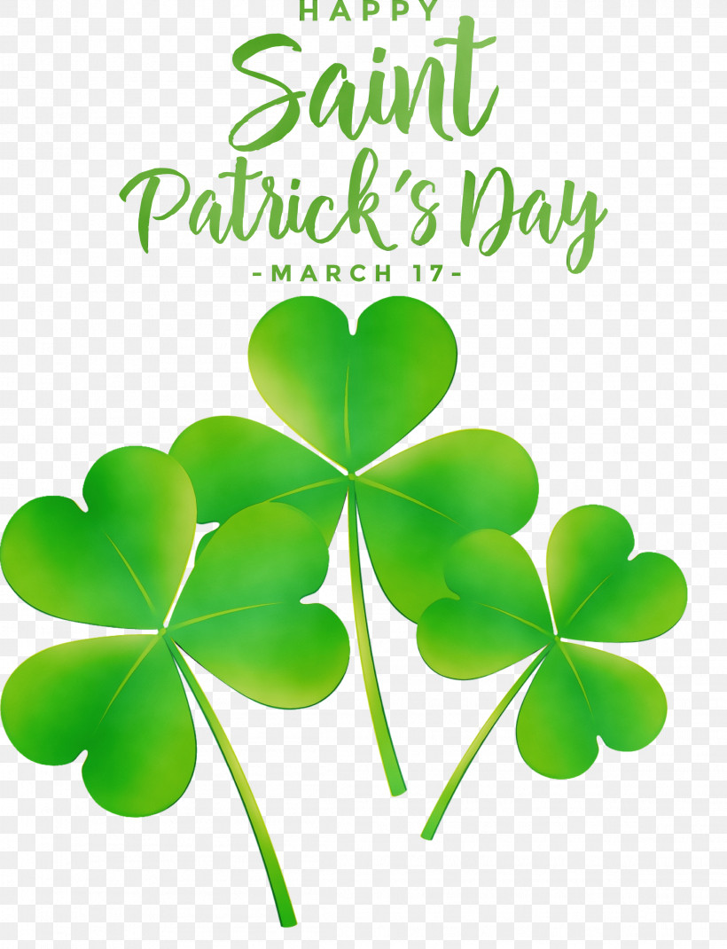 Shamrock, PNG, 2297x3000px, St Patricks Day, Biology, Green, Leaf, Meter Download Free