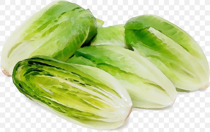 Vegetable Leaf Vegetable Iceburg Lettuce Food Plant, PNG, 872x549px, Watercolor, Cabbage, Chinese Cabbage, Food, Iceburg Lettuce Download Free