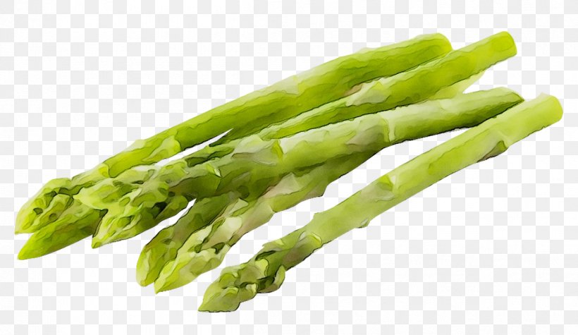 Asparagus Negative-calorie Food Nutrient Health, PNG, 1209x701px, Asparagus, Calorie, Celtuce, Diet, Digestion Download Free