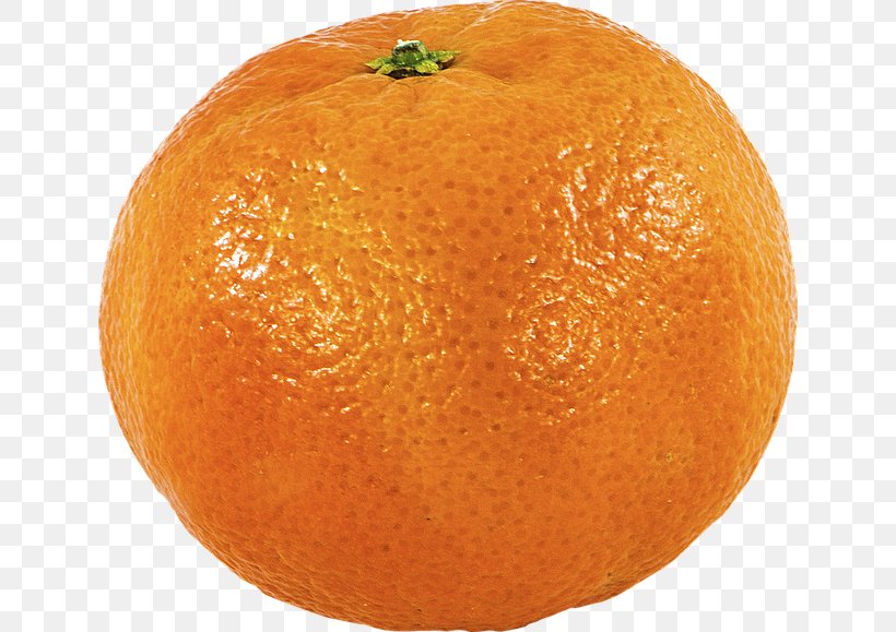 Clementine Fruit Mandarin Orange, PNG, 640x579px, Clementine, Auglis, Bitter Orange, Chenpi, Citric Acid Download Free