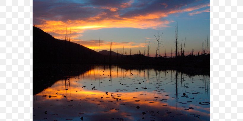 Loch Inlet Wetland Desktop Wallpaper Computer, PNG, 800x408px, Loch, Calm, Computer, Dawn, Dusk Download Free