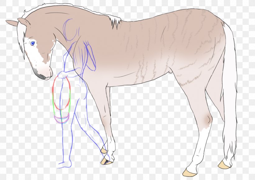 Mule Foal Stallion Colt Mare, PNG, 1702x1205px, Mule, Arm, Bridle, Character, Colt Download Free
