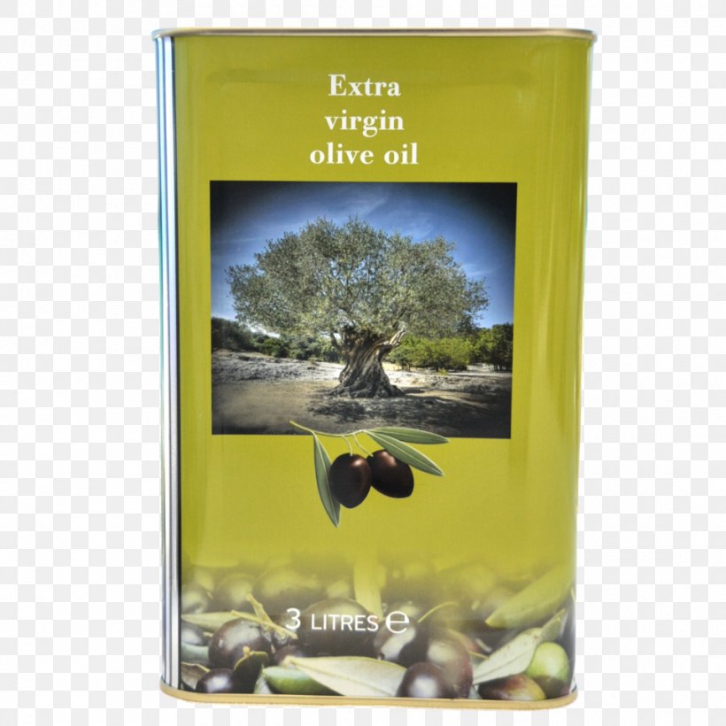 Olive Oil Saturated Fat Archiwum Allegro Calorie, PNG, 960x960px, Olive Oil, Add, Calorie, Fatty Acid, Gram Download Free