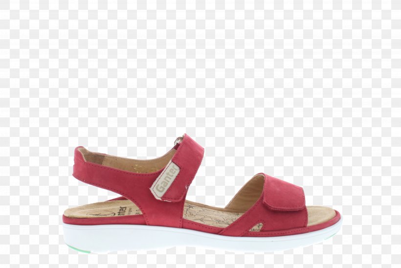 Suede Sandal, PNG, 3576x2390px, Suede, Footwear, Magenta, Outdoor Shoe, Sandal Download Free