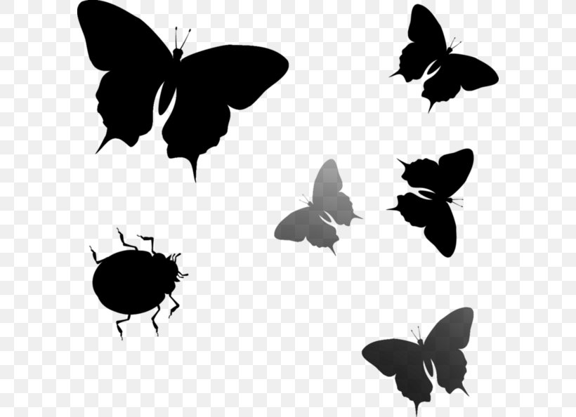 Brush-footed Butterflies Insect Font Fauna Silhouette, PNG, 600x594px, Brushfooted Butterflies, Black, Blackandwhite, Butterfly, Fauna Download Free