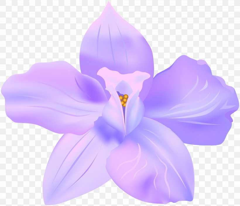 Clip Art, PNG, 8000x6884px, Art, Art Museum, Crocus, Easter, Fireworks Download Free