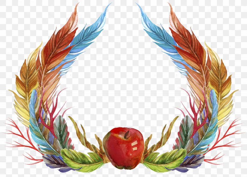 Feather Icon, PNG, 5560x4000px, Feather, Apple, Drawing, Plant, Red Download Free