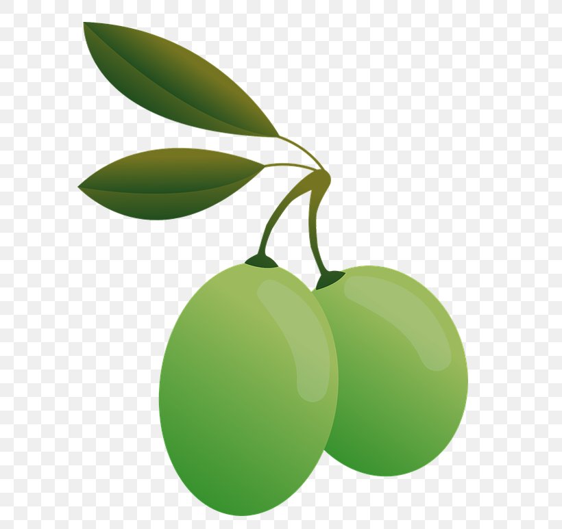 Olive, PNG, 765x773px, Olive, Apple, Citrus, Coconut Oil, Cooking Oils Download Free