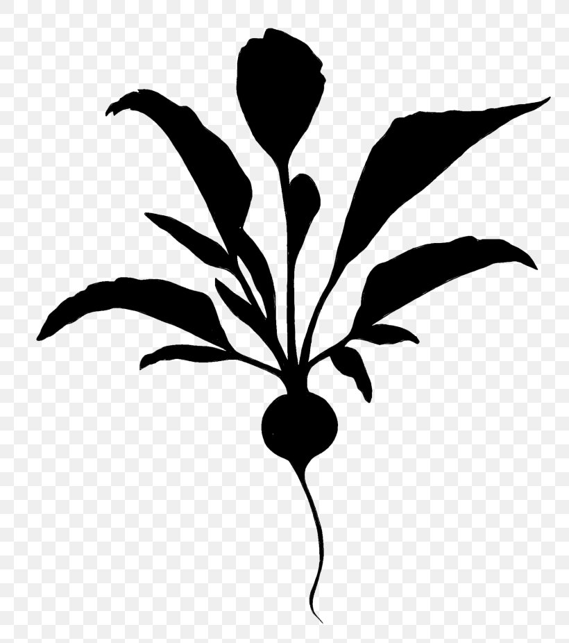 Clip Art Flower Leaf Plant Stem Silhouette, PNG, 800x926px, Flower, Blackandwhite, Botany, Flowering Plant, Leaf Download Free