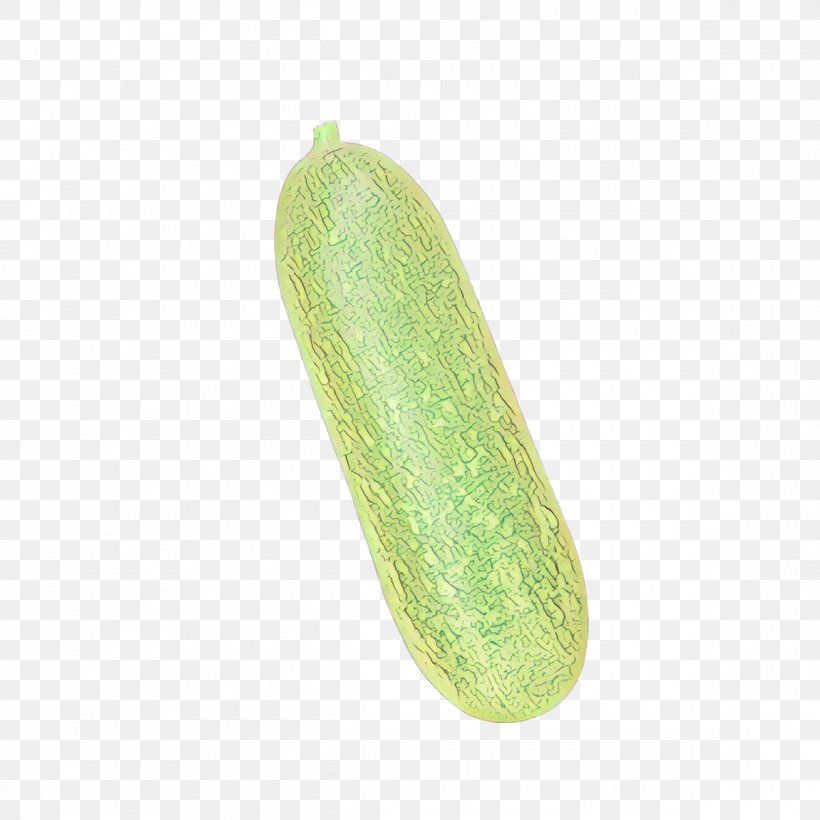 Summer Field, PNG, 1200x1200px, Cartoon, Cucumber, Cucumber Gourd And Melon Family, Cucumber M, Cucumis Download Free