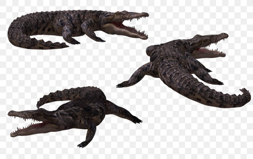 Crocodiles Alligator, PNG, 1024x645px, Crocodiles, Alligator, American Crocodile, Animal, Animal Figure Download Free