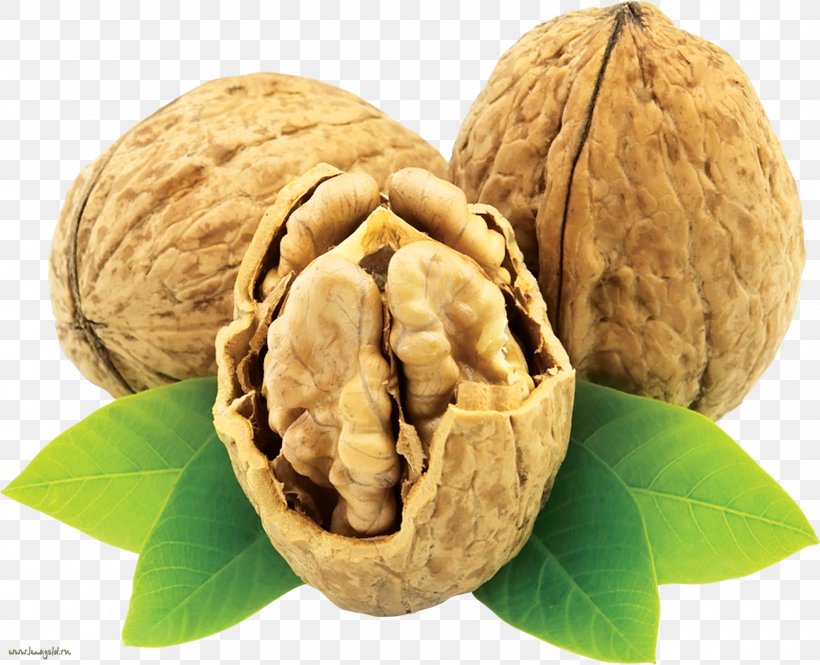 English Walnut Eastern Black Walnut Nuts, PNG, 1600x1299px, English Walnut, Brazil Nut, Cashew, Commodity, Dried Fruit Download Free