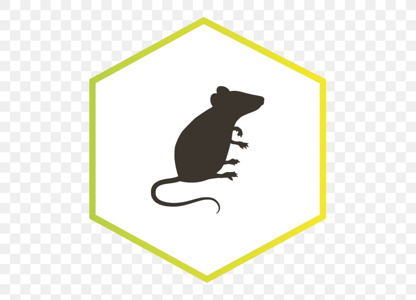 Rat Rodent ネズミ Silhouette, PNG, 591x591px, Rat, Carnivoran, House Mouse, Mammal, Mouse Download Free