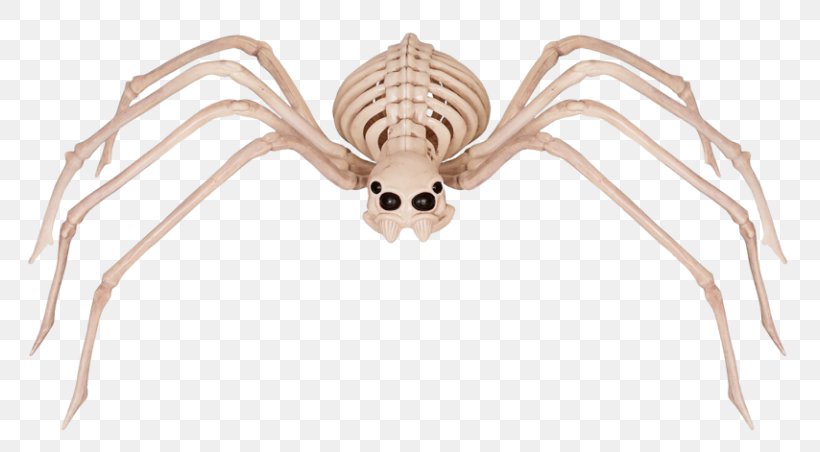 Spider Human Skeleton Bone Skull, PNG, 768x452px, Watercolor, Cartoon, Flower, Frame, Heart Download Free