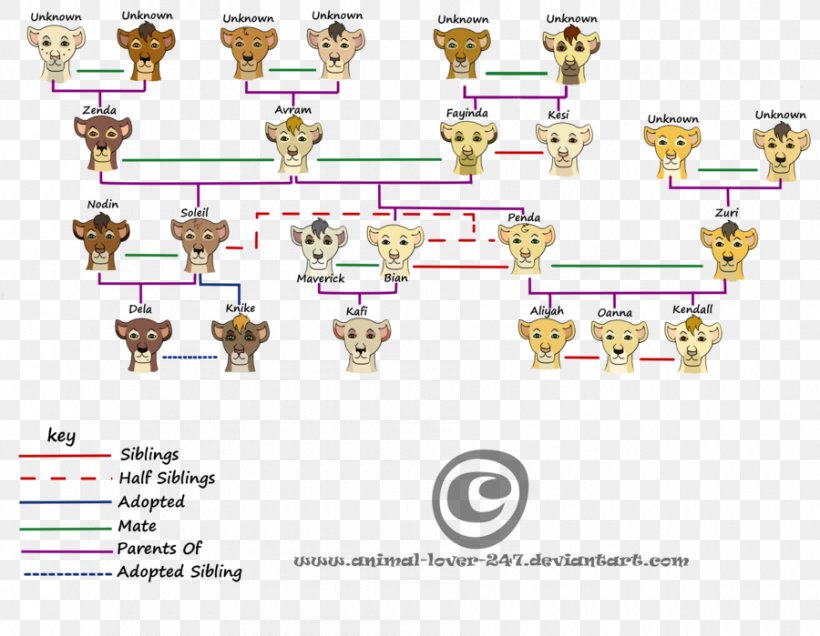 Family Tree Animal Child Drawing, PNG, 900x699px, Family Tree, Animal, Area, Child, Diagram Download Free