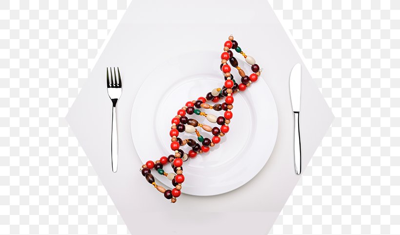 Low-fat Diet Genetic Testing DNA Nutrition, PNG, 555x481px, Diet, Bead, Cancer, Cutlery, Dietary Fiber Download Free