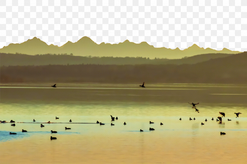 Water Resources Ecoregion Reservoir Birds Lough, PNG, 1920x1280px, Water Resources, Biology, Birds, Calm, Ecoregion Download Free