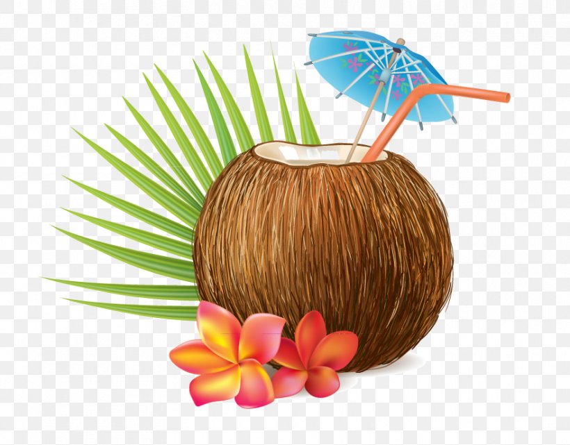 Coconut Water Coconut Milk, PNG, 882x690px, Coconut Water, Arecaceae, Coconut, Coconut Milk, Coconut Oil Download Free